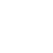 Notre Dame Icon