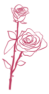 rose vector