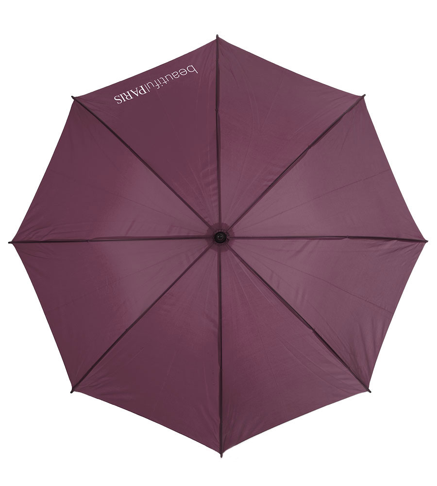 Beautiful Paris supporting elements: Umbrella